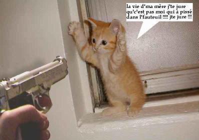 haut les mains